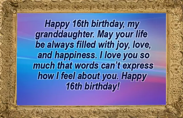 Funny 16Th Birthday Wishes