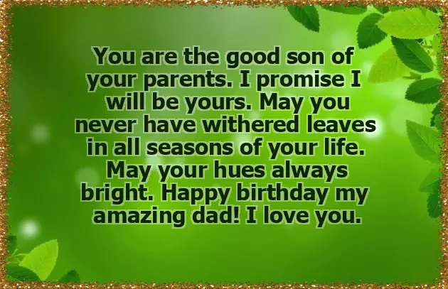 Happy Birthday Dad From Son Happy Birthday Dad From Son
