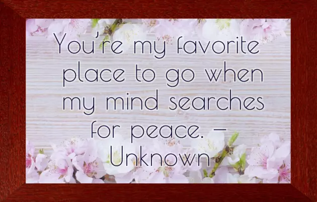 Birthday Quotes From Husband To Wife