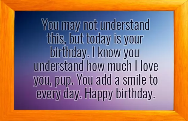Birthday Wishes With Dog