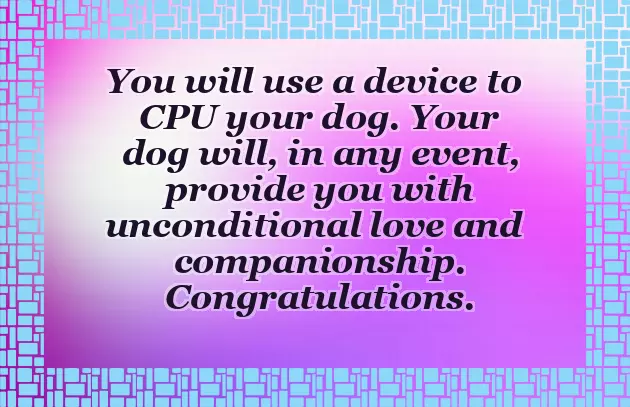 Congratulations On Your New Pet Congratulations On Your New Pet