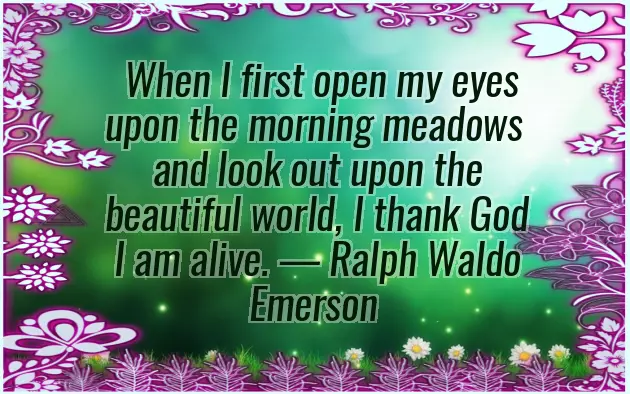 Good Morning Message To Your Love