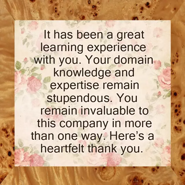 Thank You Message For Promotion Wishes