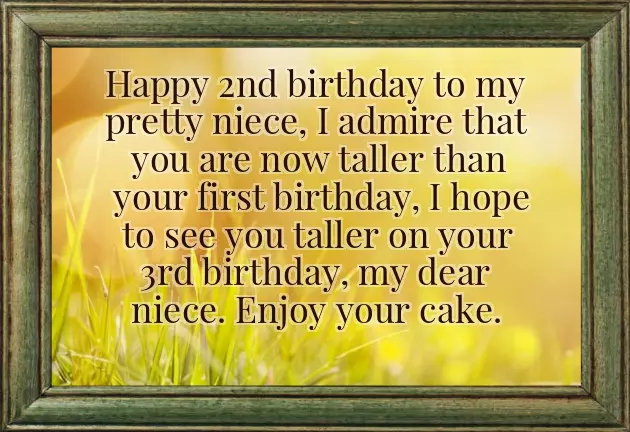 2 Year Niece Birthday Wishes