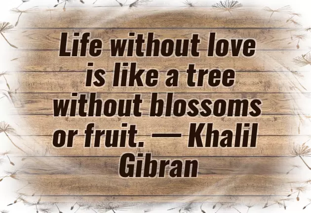 Birthday Quotes From Husband To Wife