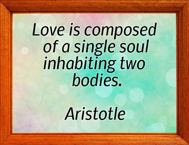 Love Anniversary Quotes