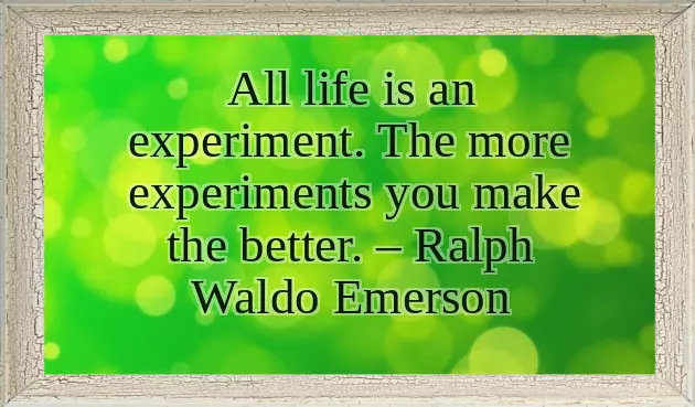 Live Your Own Life Quotes