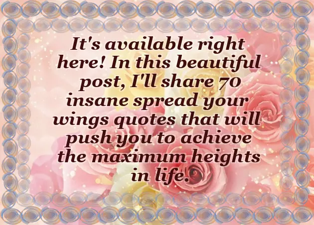 Wings Quote Wings Quote