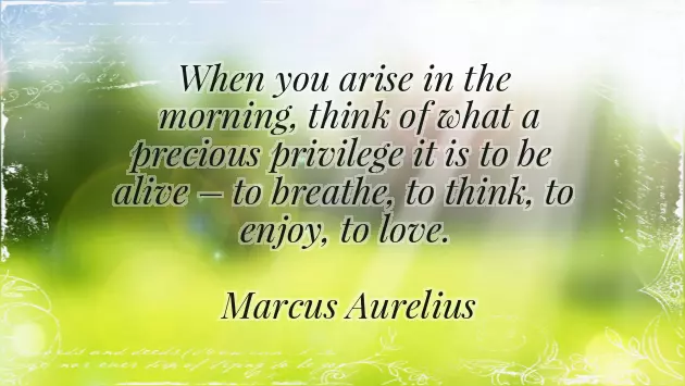 Morning Good Morning Morning Good Morning