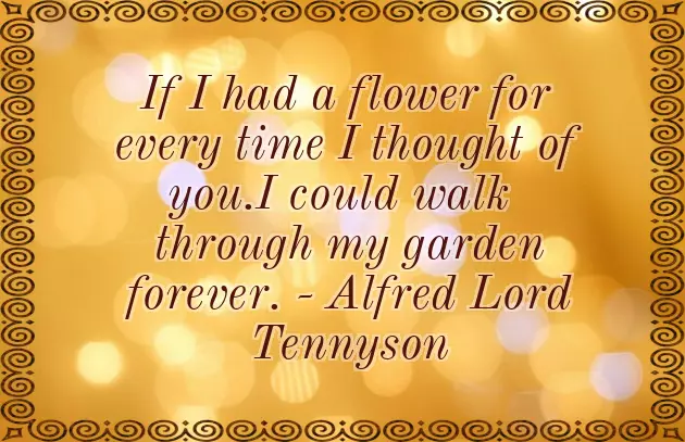 Under The Sky Quotes