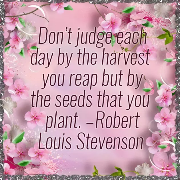 Graduation Message For My Self