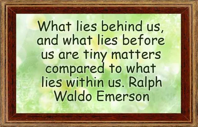 I Do Quotes Wedding I Do Quotes Wedding