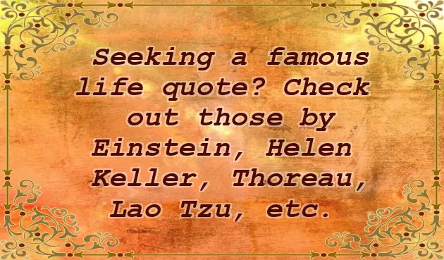 Wisdom Quotes Wisdom Quotes