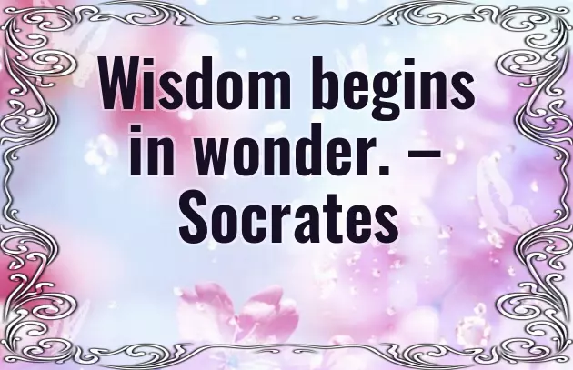 Short Line Quotes Short Line Quotes