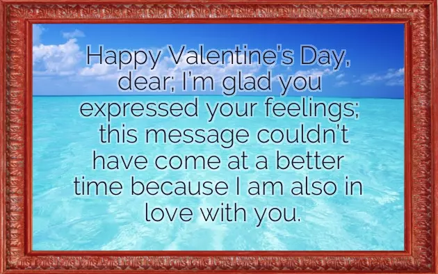 Wishes To Valentine Wishes To Valentine