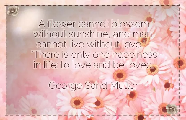 Valentine Wishes Husband Valentine Wishes Husband