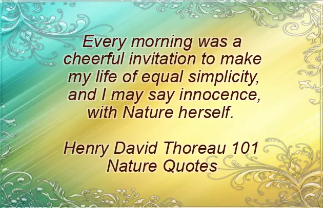 Good Morning Wishes With Birds Good Morning Wishes With Birds