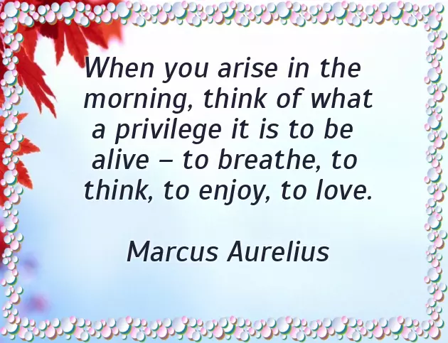 Good Morning Wishes On Tuesday Good Morning Wishes On Tuesday