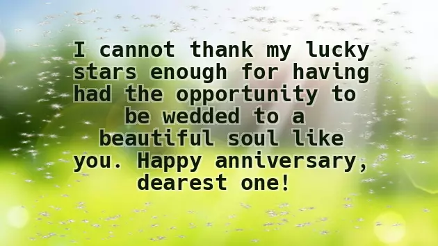 Funny Wedding Anniversary Wishes For Wife Funny Wedding Anniversary Wishes For Wife