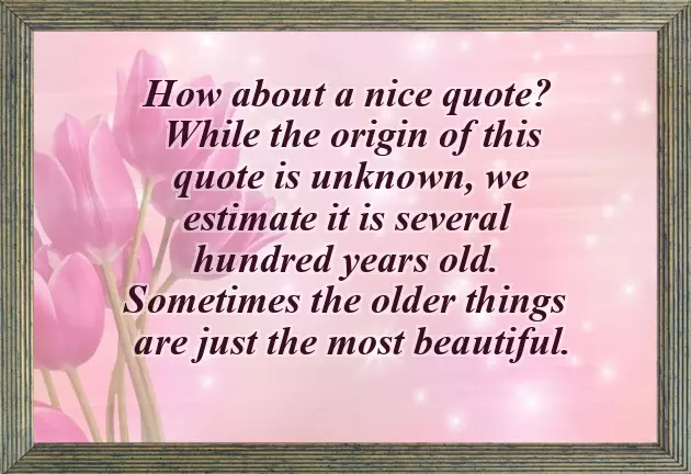 Husband Wish To Wife Husband Wish To Wife