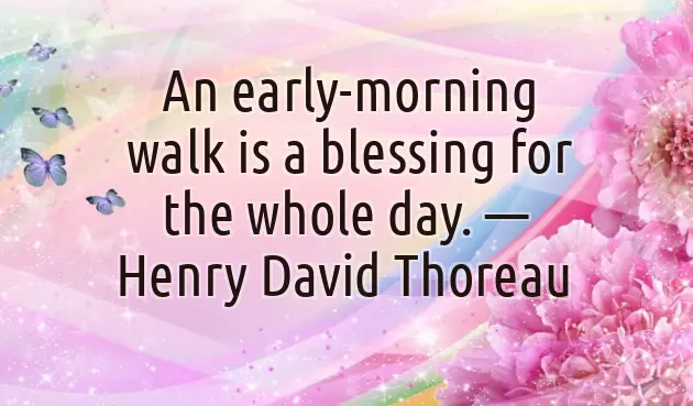 Nature Good Morning Happy Sunday