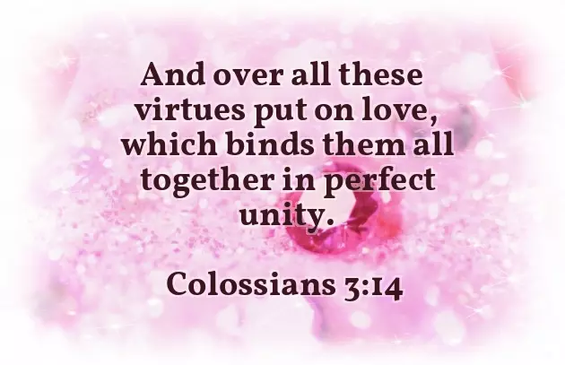 22 Wedding Anniversary Wishes For Parents 22 Wedding Anniversary Wishes For Parents