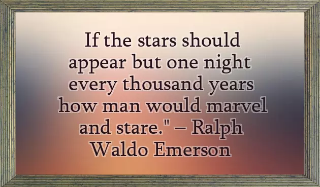 You Are A Star Quotes You Are A Star Quotes