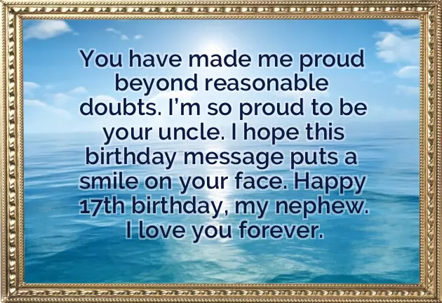 Birthday Wishes For 17 Year Old Nephew Birthday Wishes For 17 Year Old Nephew