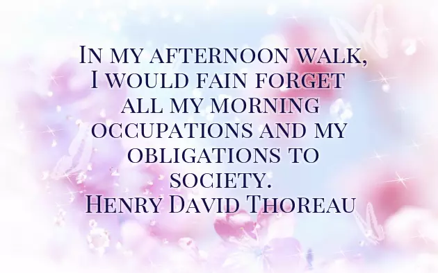 Saturday Afternoon Greetings