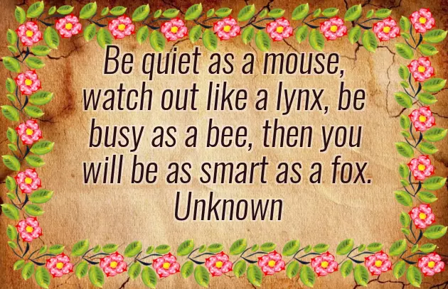 Sarcastic Congratulations Quotes Sarcastic Congratulations Quotes