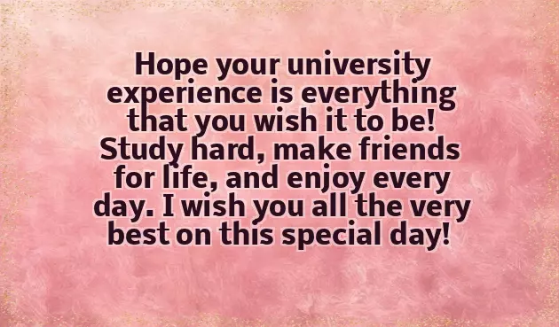 Congratulations On Your New Song Congratulations On Your New Song