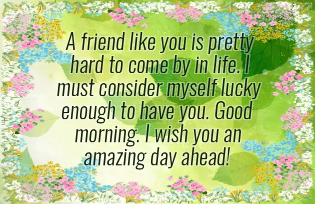 May You Have A Wonderful Day May You Have A Wonderful Day