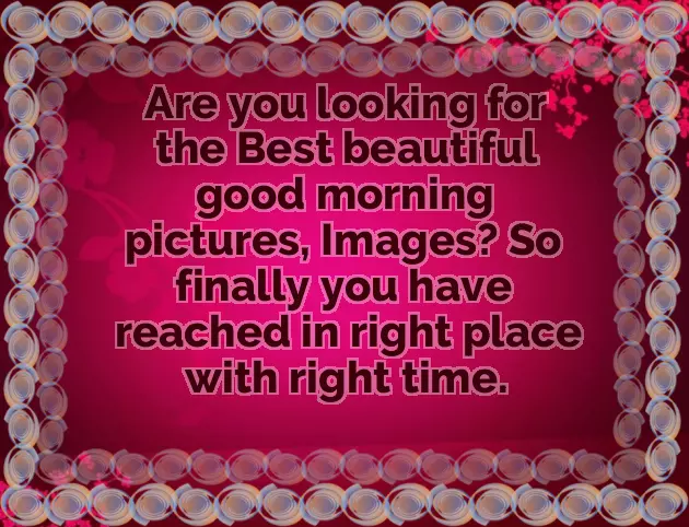 Good Morning Wishes With White Flowers Good Morning Wishes With White Flowers