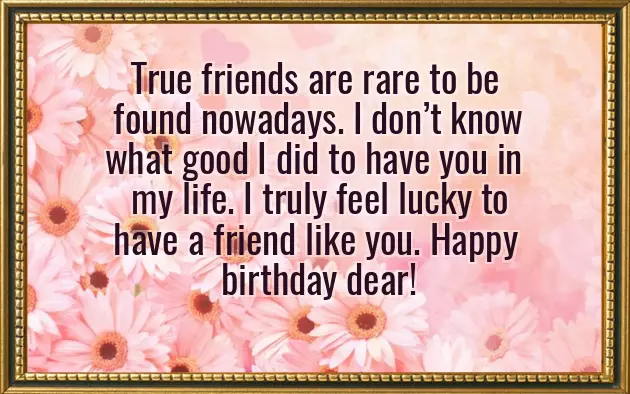 Wish You All The Happiness In The World Meaning Wish You All The Happiness In The World Meaning