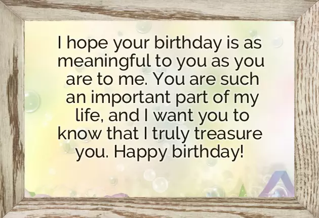 Birthday Wishes Like A Sister