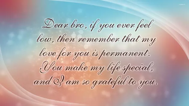 Funny Captions For Brothers Birthday Funny Captions For Brothers Birthday