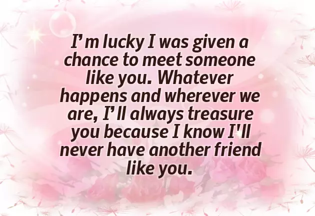 Funny Birthday Text For Best Friend Funny Birthday Text For Best Friend