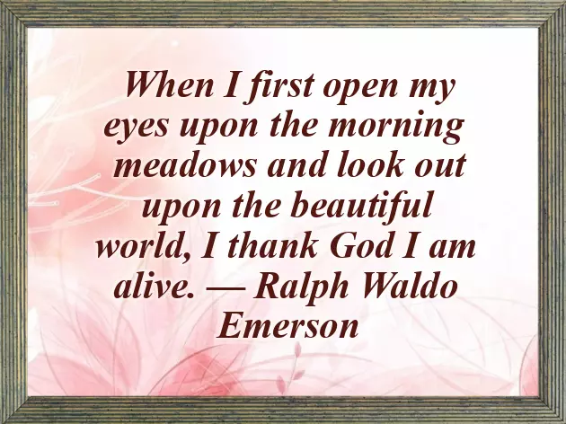 Morning Greetings To Special Someone Morning Greetings To Special Someone