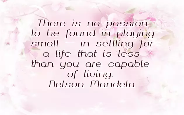 Congratulations On Your Position Congratulations On Your Position