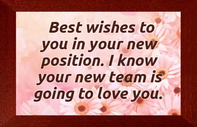 Congrats To You Congrats To You