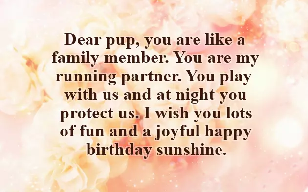 Happy Birthday My Friend Gif Happy Birthday My Friend Gif