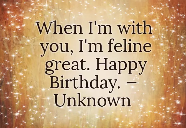 Birthday Wishes For Cat Birthday Wishes For Cat