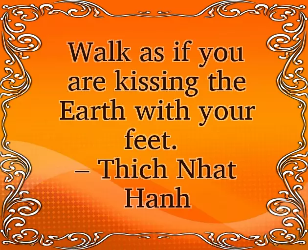 May Quotes May Quotes