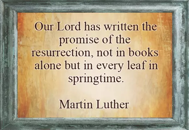 Happy Easter For You And Family