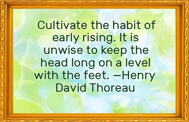 Good Morning Cartoon Sunday Good Morning Cartoon Sunday