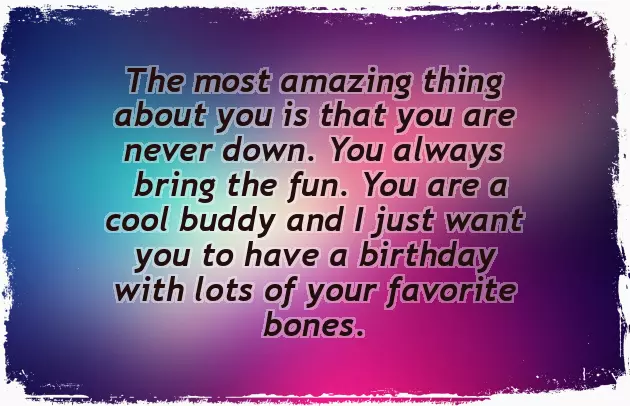 Birthday Wishes From Dog Birthday Wishes From Dog