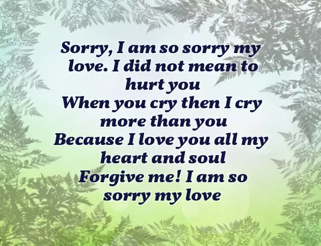 Sorry Poem For Boyfriend