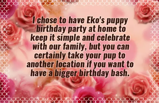 Happy Birthday Dachshund Happy Birthday Dachshund