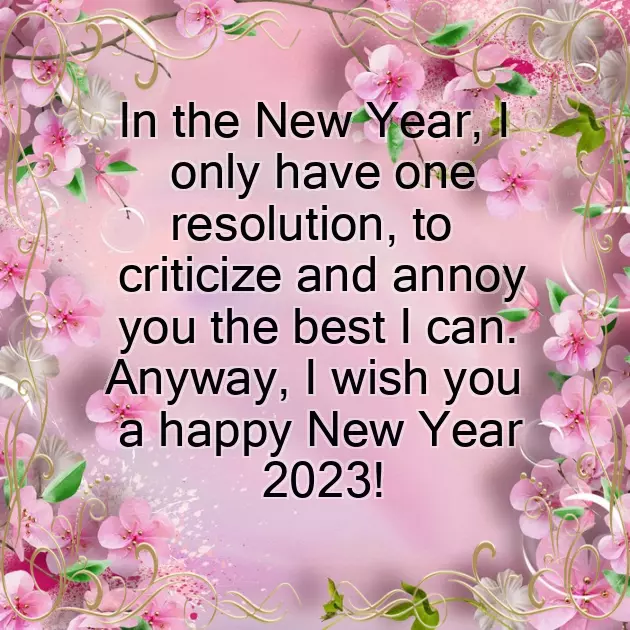 Funny New Year Greetings Funny New Year Greetings