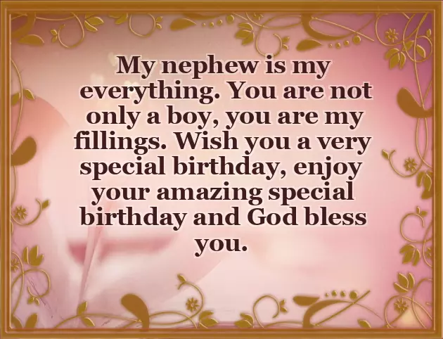 My Nephew Birthday Wishes My Nephew Birthday Wishes